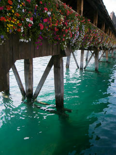 20110819-R0014355.jpg