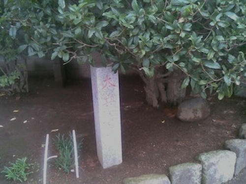 fd041199.jpeg