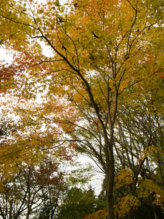 20111030-R0014644.jpg