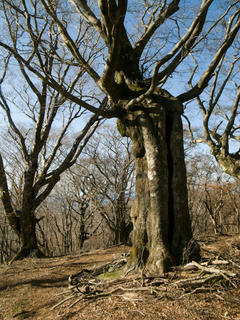 20111120-R0014669.jpg