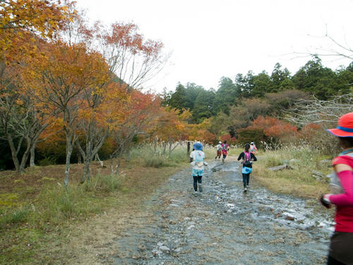 20111120-R0014678.jpg