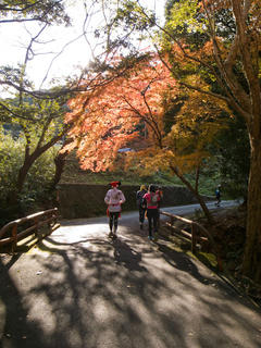 20111211-R0014793.jpg