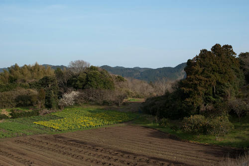 20120320-IMGP0046.jpg