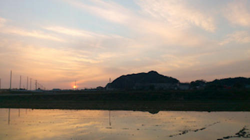 20120320-DSC_0092.jpg