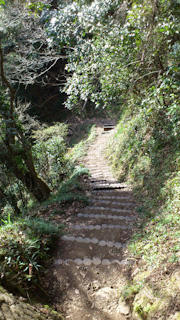 20120320-DSC_0034.jpg