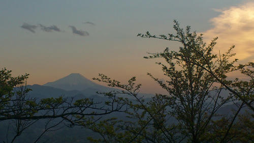20120505-DSC_0565.jpg