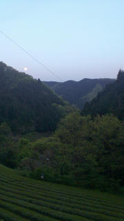 20120505-DSC_0582.jpg