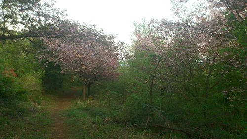 20120505-DSC_0566.jpg