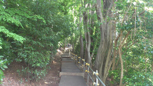 20120513-DSC_0599.jpg