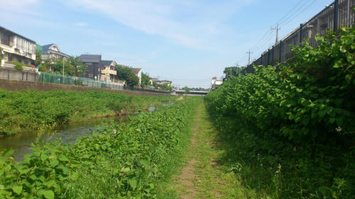 20120513-DSC_0600.jpg