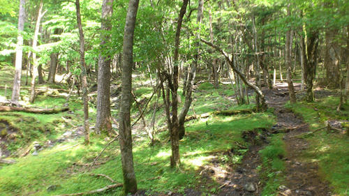 20120728-DSC_0765.jpg