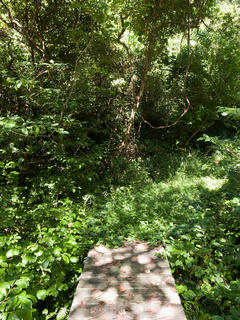 20120909-R0010625.jpg