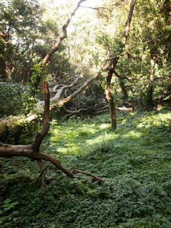 20120909-R0010632.jpg