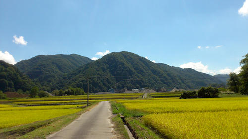 20120916-DSC_1311-2.jpg