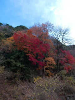 20121209-R0011105s.jpg