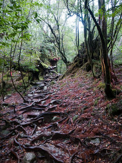20121230-R0011212.jpg