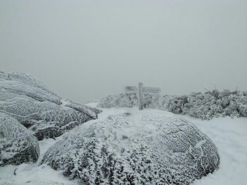 20130101-R0011359.jpg