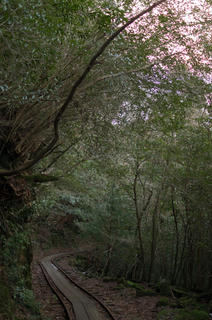 20130101-IMGP1037.jpg