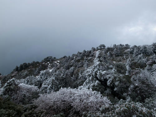 20130101-R0011421.jpg