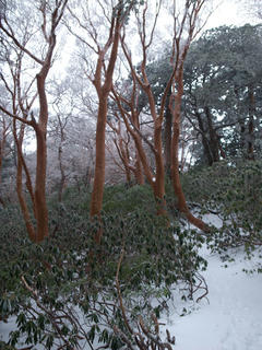 20130101-R0011429.jpg