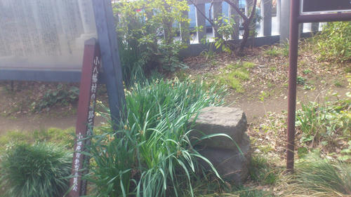 20130317-DSC_2191.jpg
