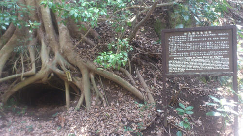 20130317-DSC_2194.jpg