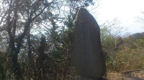 20130317-DSC_2202.jpg