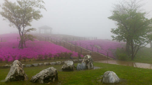20130420-DSC_2319.jpg