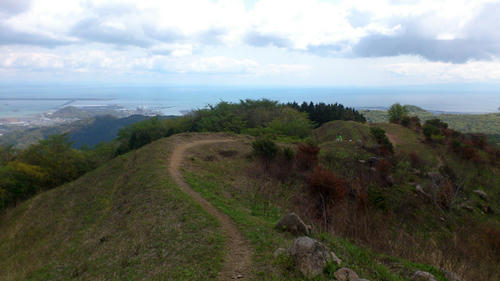 20130421-DSC_2348.jpg