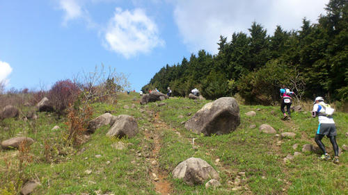 20130421-DSC_2345.jpg