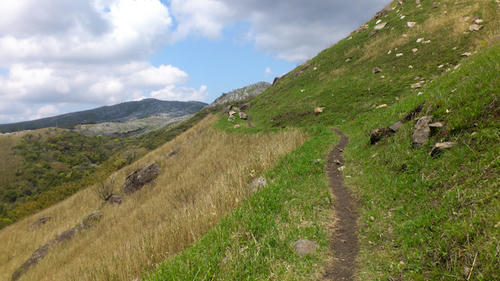20130421-DSC_2353.jpg