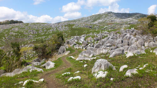 20130421-DSC_2359.jpg