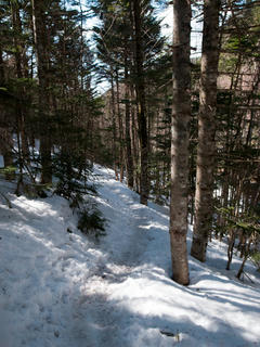 20130505-R0015216.jpg