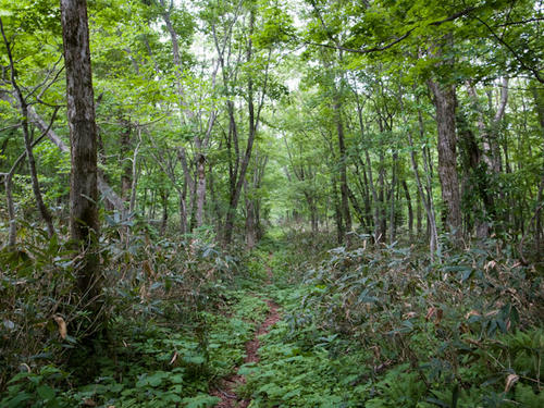 20130616-R0015842.jpg