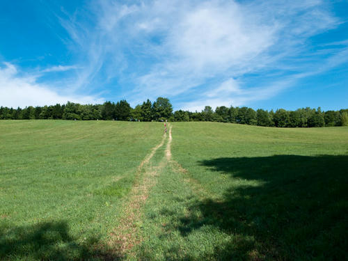 20130714-R0015860-2.jpg