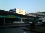 P1000232.JPG