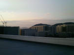 P1000229.JPG