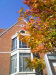 image2249.jpg