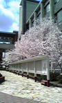 image2250.jpg