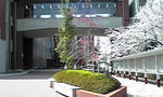 image2251.jpg