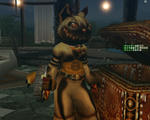 6kinnneko.jpg