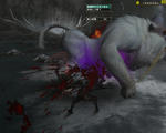 6dodo.jpg