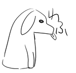 わふ