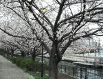 DSCF0092.JPG
