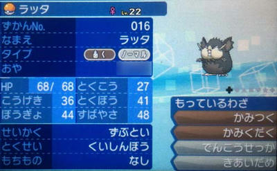 12月04日 ポケモンsm まるまるラッタ 騎士とテイマーの放浪記