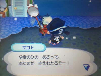 A たぬき 騎士