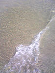 Image421.jpg