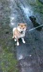 200712220656000.jpg