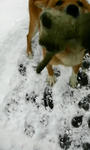 200801010806000.jpg
