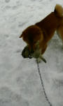 200801290858000.jpg